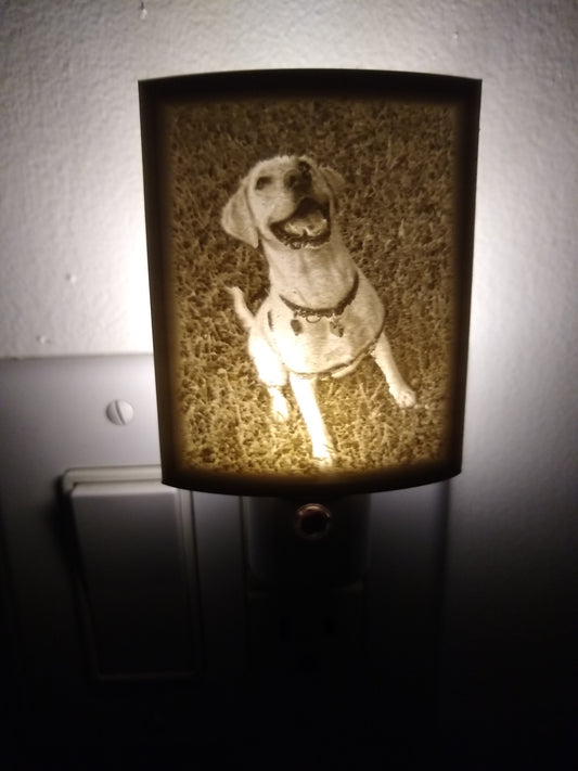 Custom Printed Lithophane Nightlight