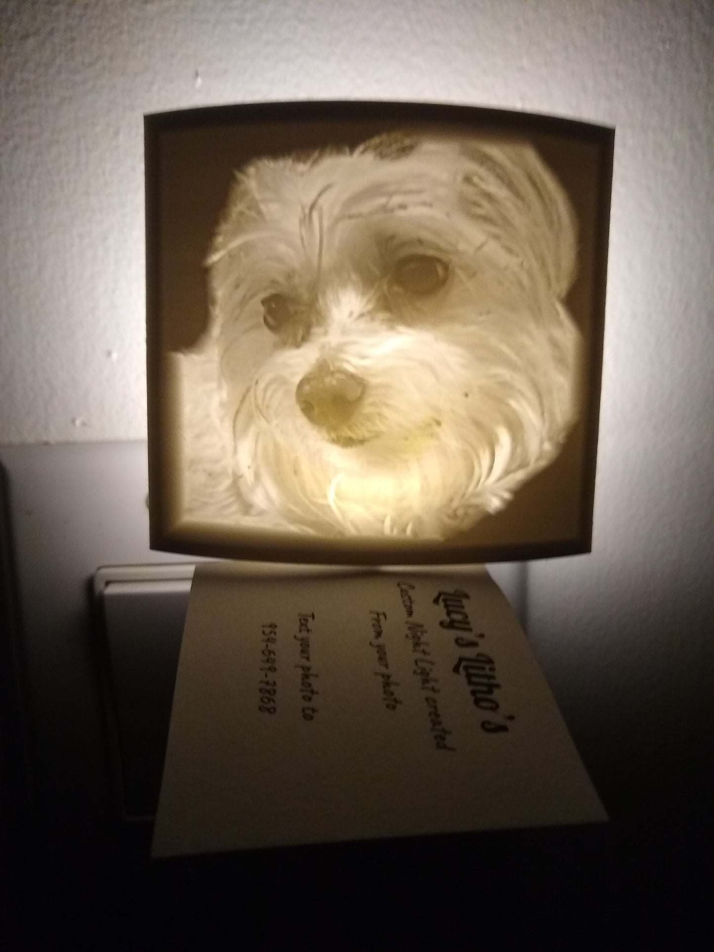 Custom Printed Lithophane Nightlight